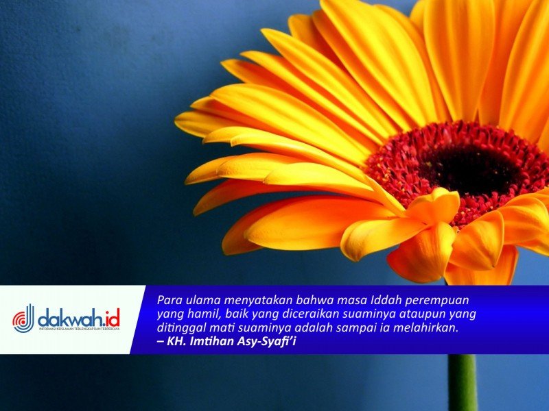 Iddah Perempuan Keguguran dan Suami Wafat itu Bagaimana?