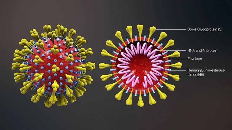 model wabah penyakit Corona Virus-dakwah.id