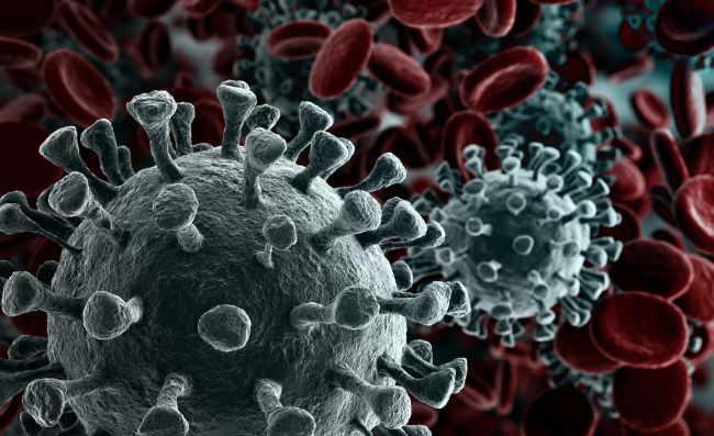 Virus Corona Hikmah di Balik Musibah-dakwah.id