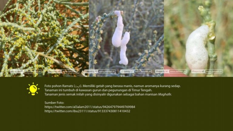 Asbabun Nuzun Surat At Tahrim