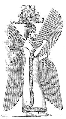 cyrus
