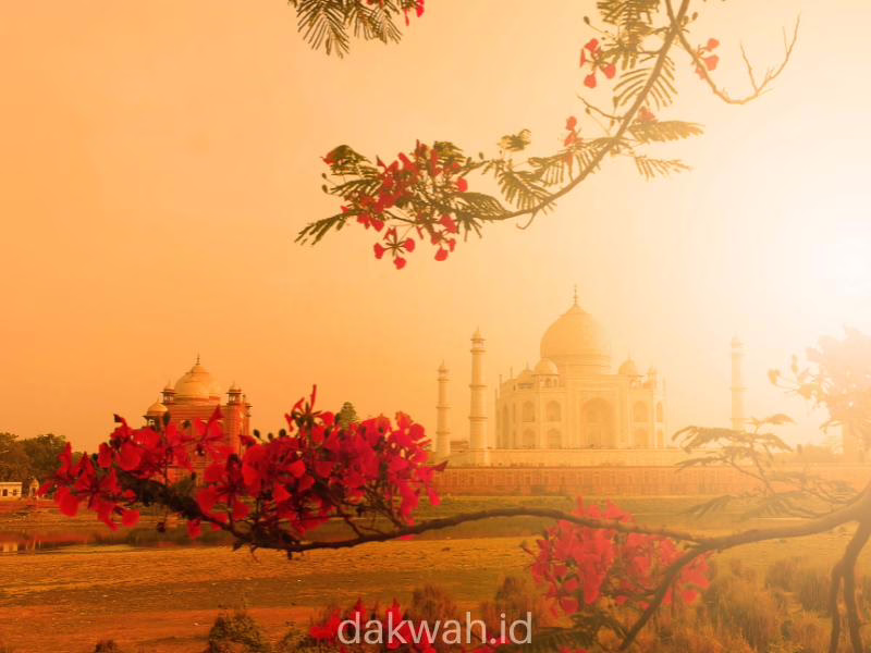 Gambar Mehrunnisa Cahaya Dunia dari Takhta Mughal dakwah.id