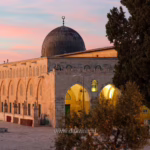 materi khutbah jumat Palestina Bukti Toleransi Penaklukan Islam dakwah.id