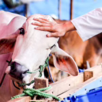 materi khutbah jumat jebakan setan dalam ibadah qurban dakwah.id